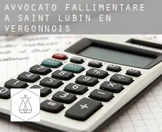 Avvocato fallimentare a  Saint-Lubin-en-Vergonnois