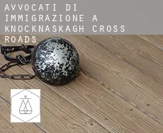Avvocati di immigrazione a  Knocknaskagh Cross Roads