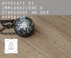 Avvocati di immigrazione a  Strasshof an der Nordbahn
