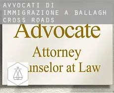 Avvocati di immigrazione a  Ballagh Cross Roads