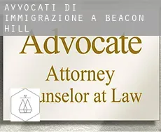 Avvocati di immigrazione a  Beacon Hill