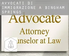 Avvocati di immigrazione a  Bingham Springs