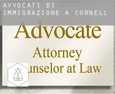 Avvocati di immigrazione a  Cornell
