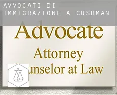 Avvocati di immigrazione a  Cushman