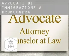 Avvocati di immigrazione a Drumcondra