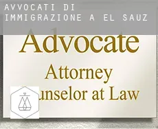Avvocati di immigrazione a El Sauz