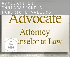 Avvocati di immigrazione a Fabbriche di Vallico