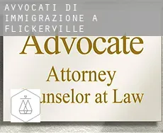 Avvocati di immigrazione a  Flickerville