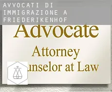 Avvocati di immigrazione a  Friederikenhof