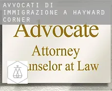 Avvocati di immigrazione a  Hayward Corner