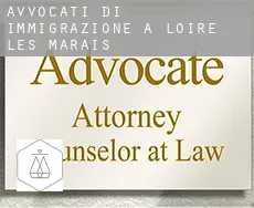 Avvocati di immigrazione a  Loire-les-Marais