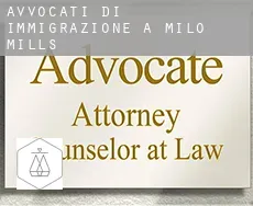 Avvocati di immigrazione a  Milo Mills