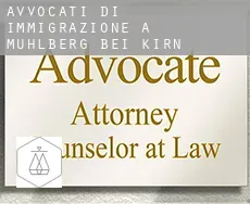 Avvocati di immigrazione a Mühlberg bei Kirn
