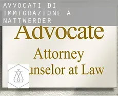 Avvocati di immigrazione a  Nattwerder