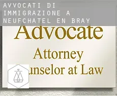 Avvocati di immigrazione a Neufchâtel-en-Bray