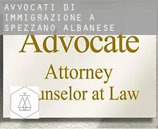 Avvocati di immigrazione a  Spezzano Albanese