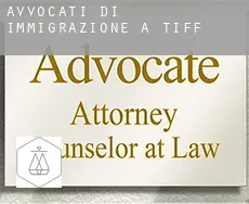 Avvocati di immigrazione a  Tiff