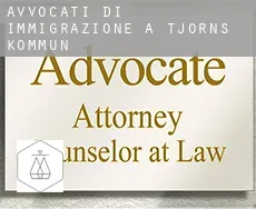 Avvocati di immigrazione a  Tjörns Kommun
