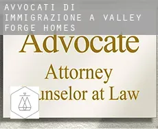 Avvocati di immigrazione a  Valley Forge Homes