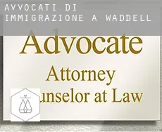 Avvocati di immigrazione a  Waddell