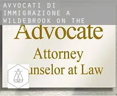 Avvocati di immigrazione a  Wildebrook On The Green