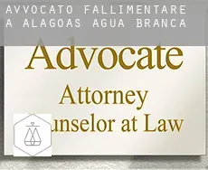 Avvocato fallimentare a  Água Branca (Alagoas)