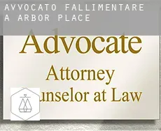 Avvocato fallimentare a  Arbor Place