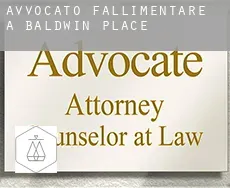 Avvocato fallimentare a  Baldwin Place