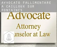 Avvocato fallimentare a  Cailloux-sur-Fontaines