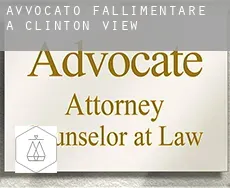 Avvocato fallimentare a  Clinton View