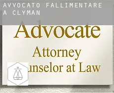 Avvocato fallimentare a  Clyman