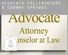 Avvocato fallimentare a  Conway Springs