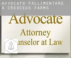 Avvocato fallimentare a  Cresceus Farms