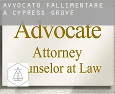 Avvocato fallimentare a  Cypress Grove