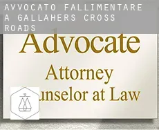 Avvocato fallimentare a  Gallaher’s Cross Roads