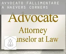 Avvocato fallimentare a  Haevers Corners