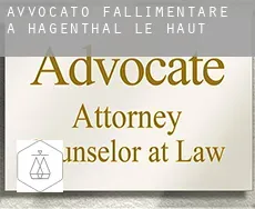 Avvocato fallimentare a  Hagenthal-le-Haut