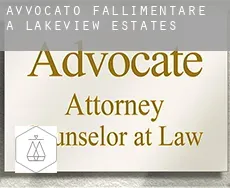 Avvocato fallimentare a  Lakeview Estates