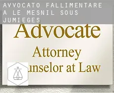 Avvocato fallimentare a  Le Mesnil-sous-Jumièges