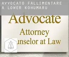 Avvocato fallimentare a  Lower Kohumaru
