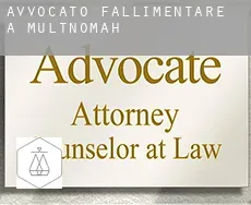 Avvocato fallimentare a Multnomah