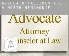 Avvocato fallimentare a  North Menomonie