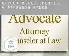 Avvocato fallimentare a  Pikewood Manor