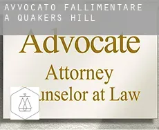 Avvocato fallimentare a  Quakers Hill