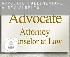 Avvocato fallimentare a  San Martín del Rey Aurelio