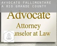 Avvocato fallimentare a  Rio Grande County