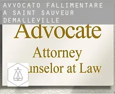Avvocato fallimentare a  Saint-Sauveur-d'Émalleville