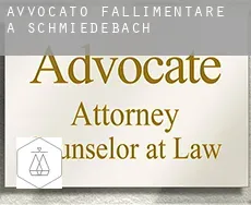 Avvocato fallimentare a Schmiedebach