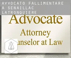 Avvocato fallimentare a  Sénaillac-Latronquière