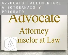 Avvocato fallimentare a  Sotobañado y Priorato
